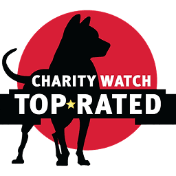 Charity Watch Top Rated